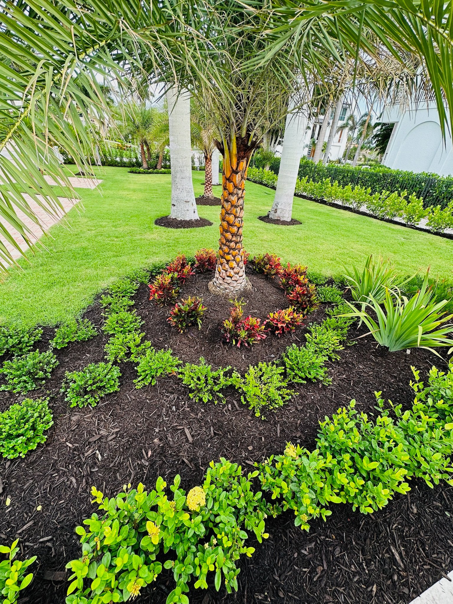 Green Industries Project