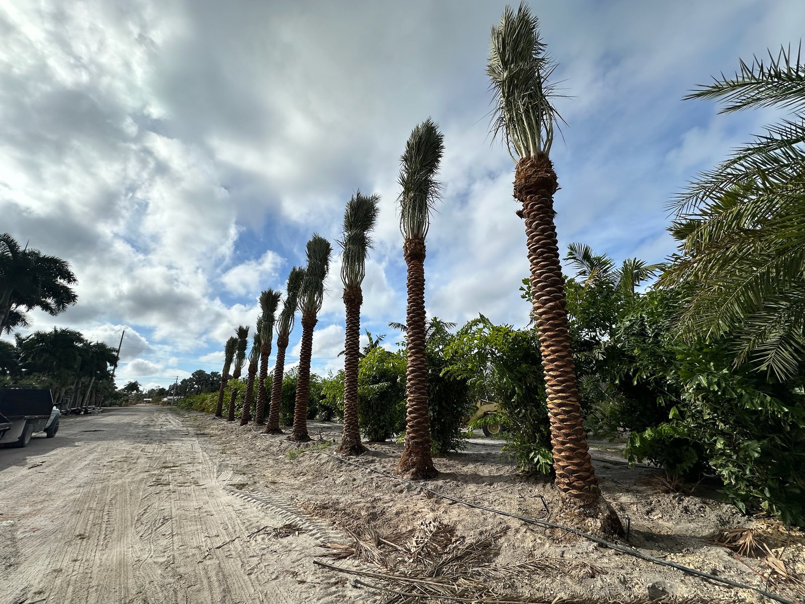 Green Industries Project