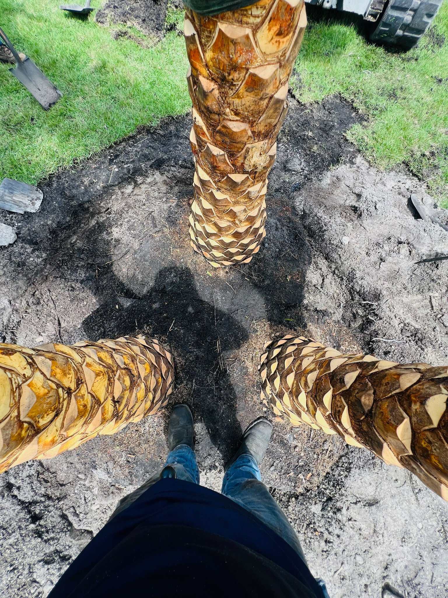 Green Industries Project