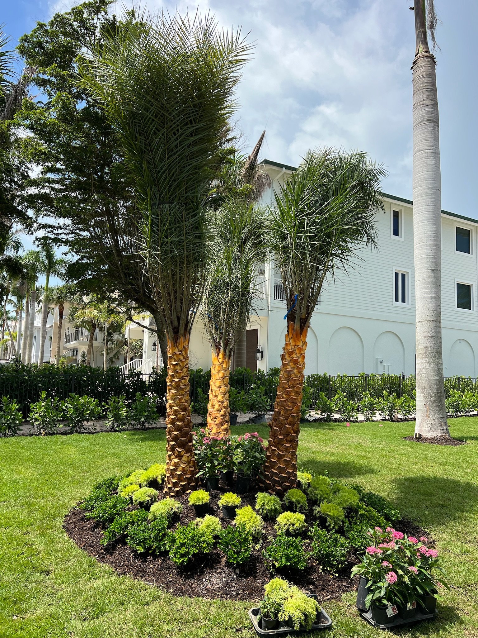 Green Industries Project