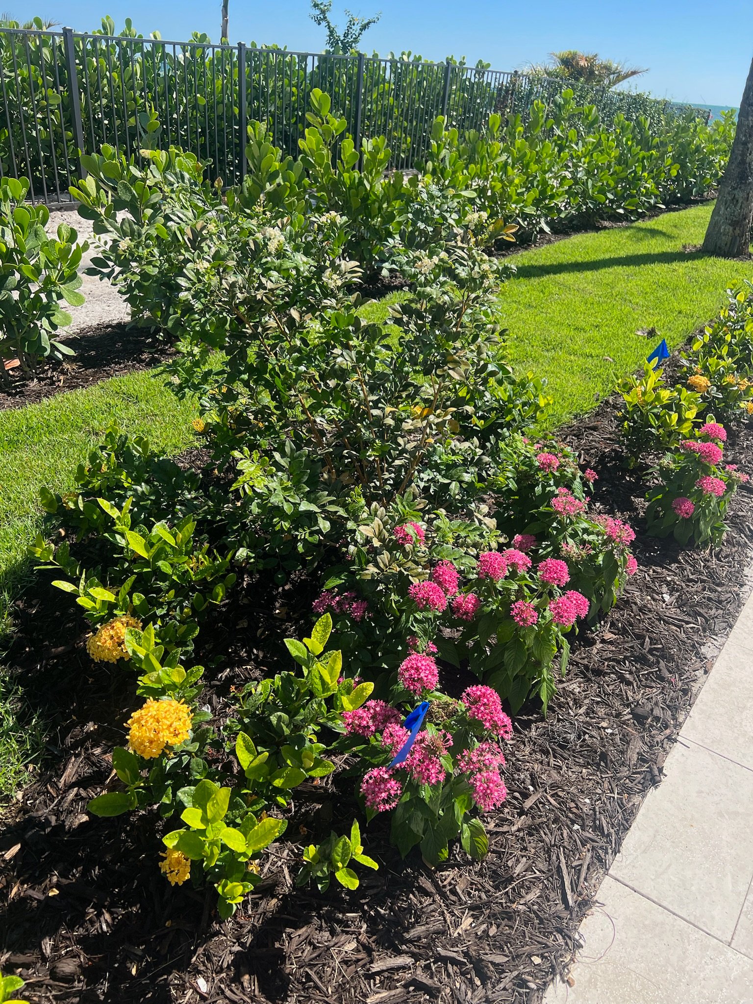 Green Industries Project