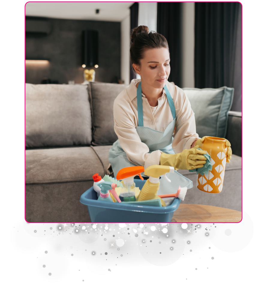 Limpieza Regular de Mantenimiento