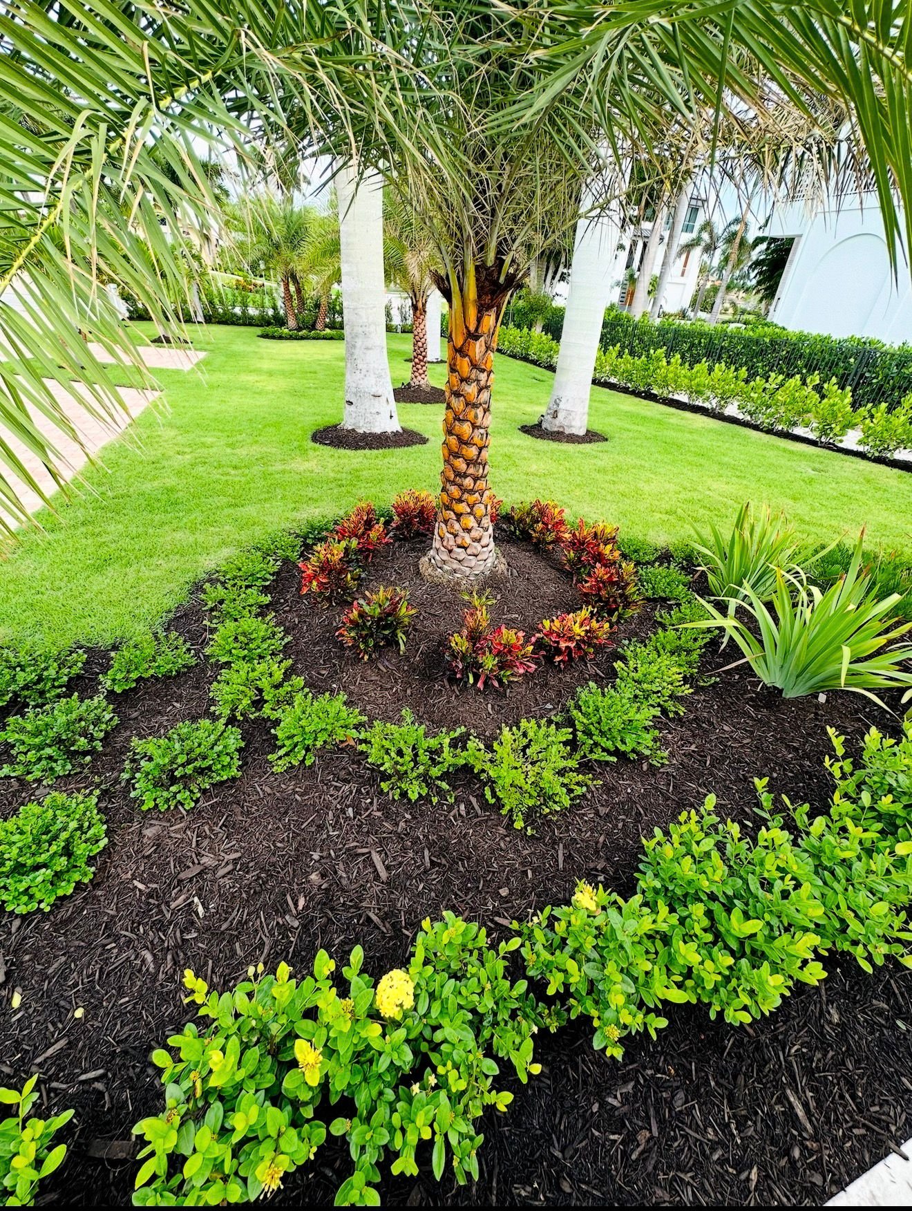 Instalación de Nuevo Paisajismo