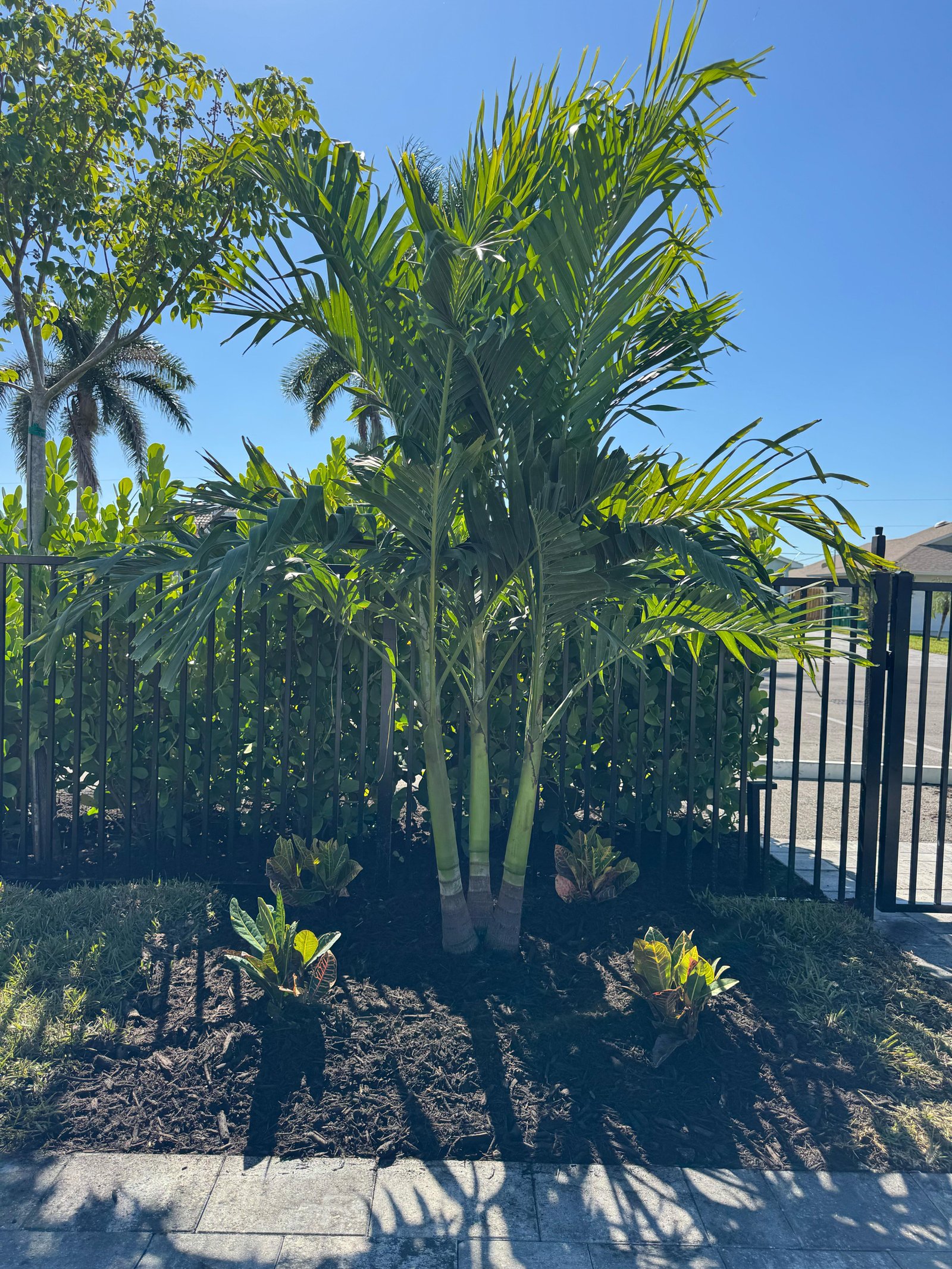 Instalación de Plantas