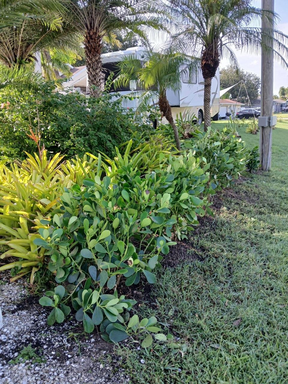 WhatsApp Image 2025-09-06 at 10.10.26 AM (1)